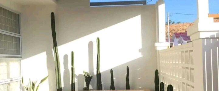Jasa Pembuatan Taman Landscape Untuk Perumahan