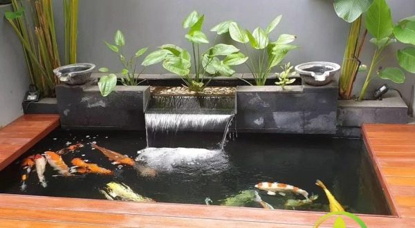 Kolam Minimalis
