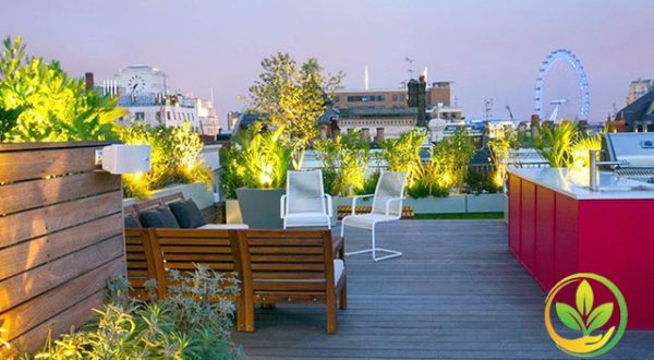 Taman Atap (Roof Garden)