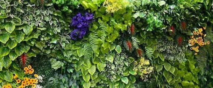 Jasa Pembuatan Taman Vertikal (vertical garden) di JABODETABEK